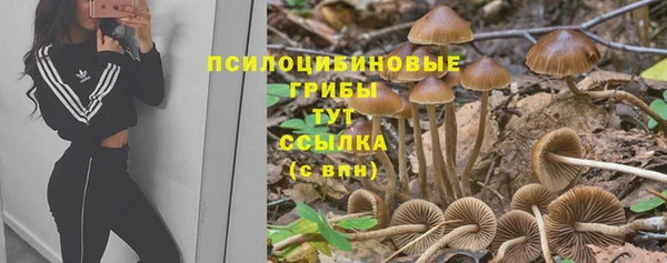 бутират Сатка
