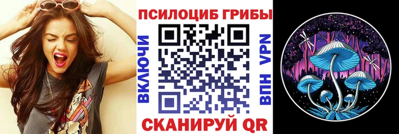 OMG ТОР Ливны Псилоцибиновые грибы Psilocybine cubensis