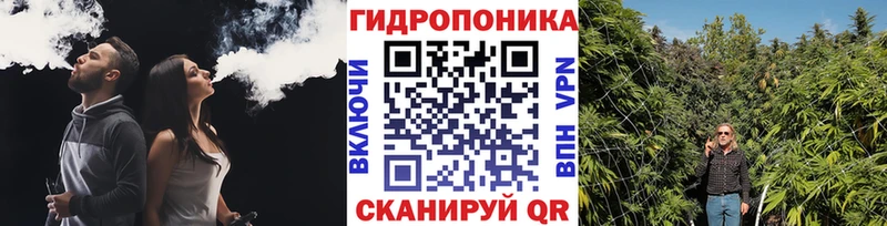 Конопля сатива  Ливны 